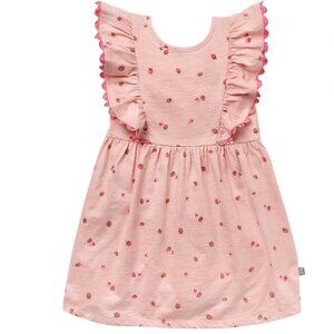 18 month Modern Moments Baby Girl Ruffle Sleeve Dress with RicRac Trim